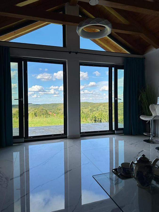 Casa Moderna In Sinteu - Intersectia Intre Modern Si Linistea Naturii Huta Voivozi Ngoại thất bức ảnh